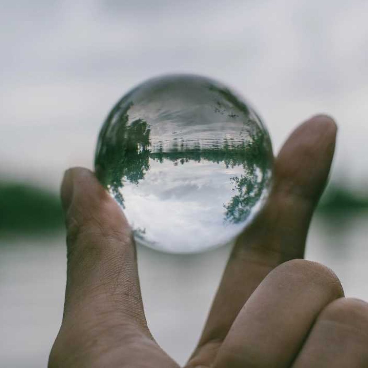 organizational-transparency